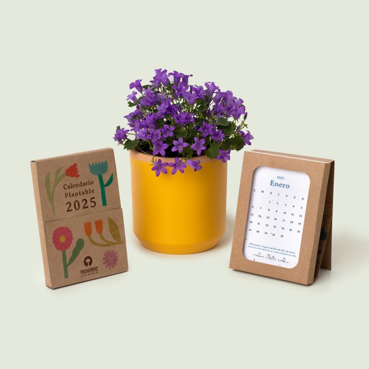 Plantable Calendar 2025: Turn Your Year into an Eco-Friendly Journey of Growth!