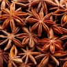 illicium verum seeds