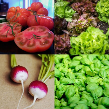 Pack "Basic Emergency Garden" - Seeds