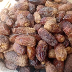 Date palm - Seeds