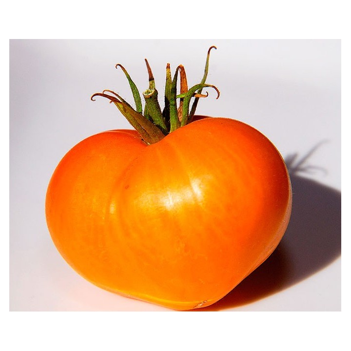 Tomate Alemán Naranja - Sobre 25 semillas