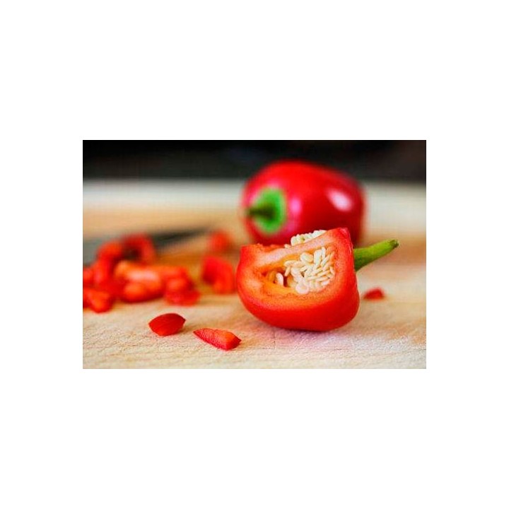 Pimiento Beso de Satán ó Ciliegia picante - Sobre 20 semillas