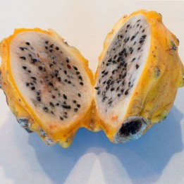 Yellow pitahaya - Seeds