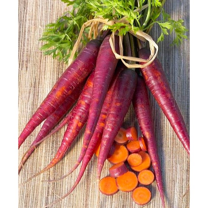 Carrot, Purple - Seeds
