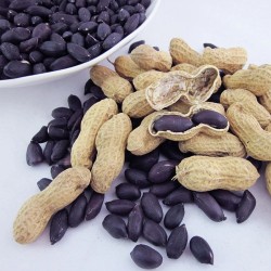 Black peanut - Seeds