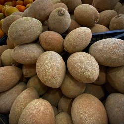 Mamey - Seeds