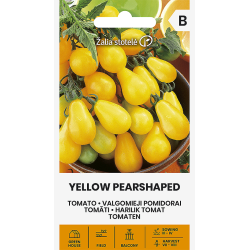 Tomato Yellow Pearshaped - Seeds