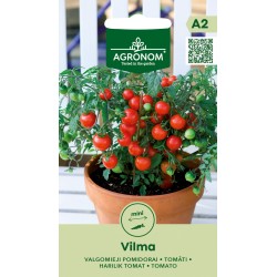 Tomato Vilma - Seeds