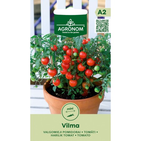Tomato Vilma - Seeds