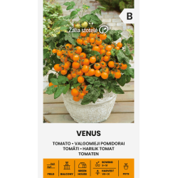 Tomato Venus - Seeds