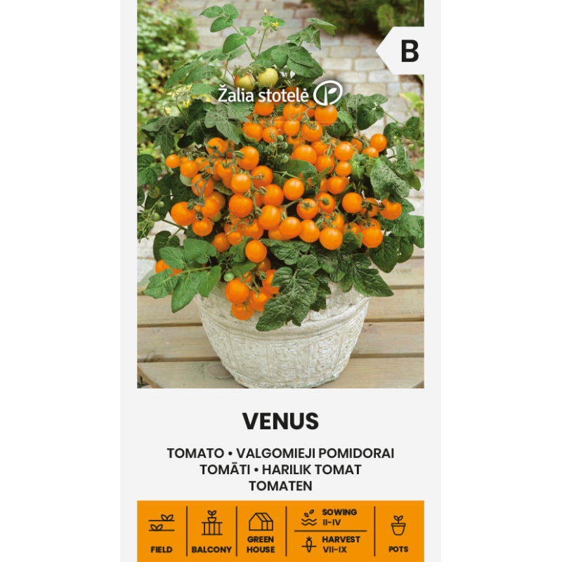 Tomato Venus - Seeds