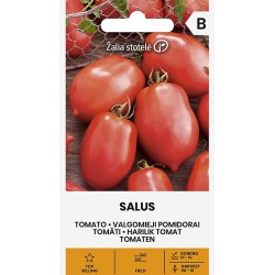Tomato Salus - Seeds