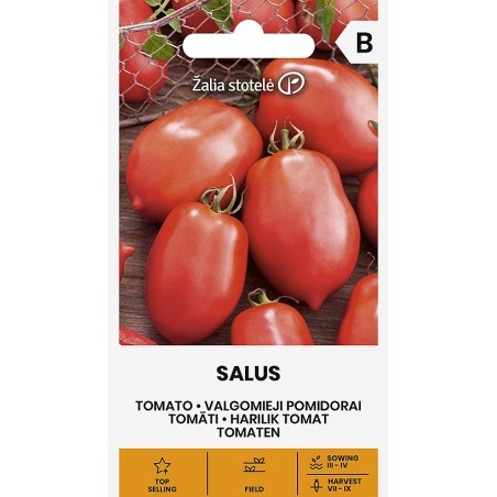 Tomato Salus - Seeds