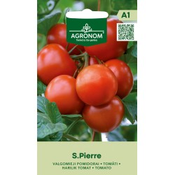 Tomato Saint Pierre - Seeds
