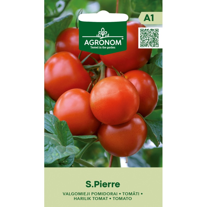 Tomato Saint Pierre - Seeds