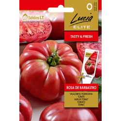 Tomato Rosa de Barbastro - Seeds
