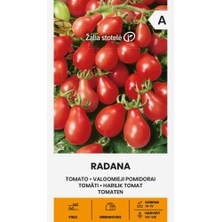 Tomato Radana - Seeds