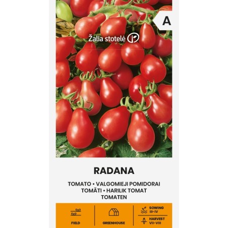Tomato Radana - Seeds Tomato Radana - Seeds