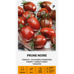 Tomato Prune Noire - Seeds