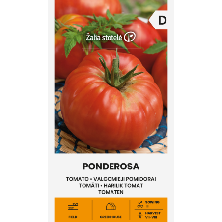 Tomato Ponderosa - Seeds