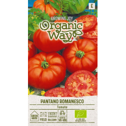 Tomato Pantano Romanesco - Seeds
