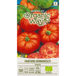 Tomato Pantano Romanesco - Seeds