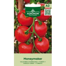 Tomato Moneymaker - Seeds