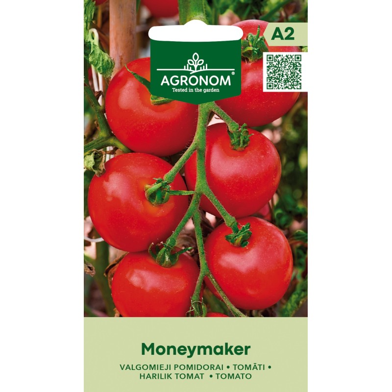 Tomato Moneymaker - Seeds