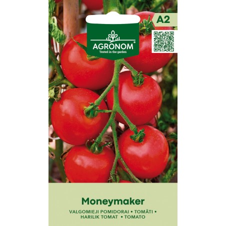 Tomato Moneymaker - Seeds