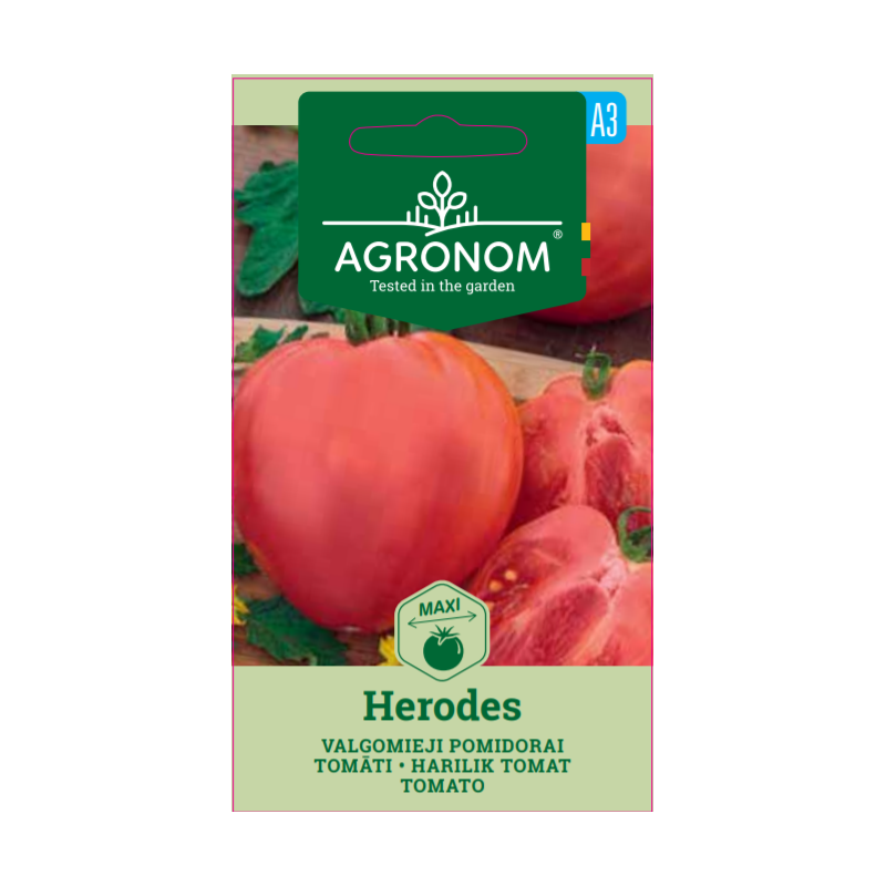 Tomato Herodes - Seeds