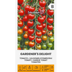 Tomato Gardener's Delight - Seeds