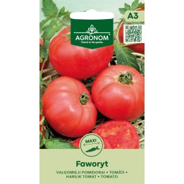 Tomato Faworyt - Seeds