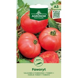 Tomato Faworyt - Seeds