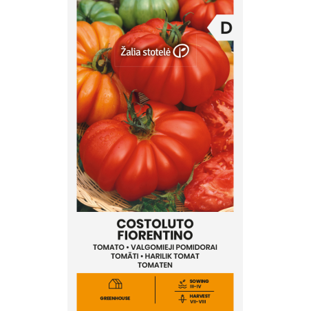 Tomato Costoluto Fiorentino - Seeds Tomato Costoluto Fiorentino - Seeds