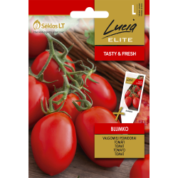 Tomato Blumko - Seeds