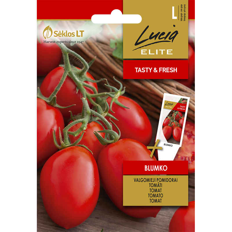 Tomato Blumko - Seeds