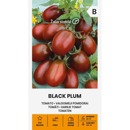 Tomato Black Plum - Seeds