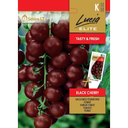 Tomato Black Cherry - Seeds