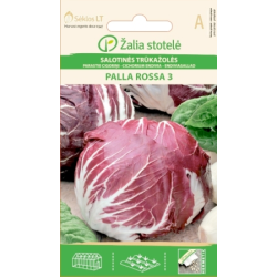 Italian Chicory Palla Rossa 3 - Seeds