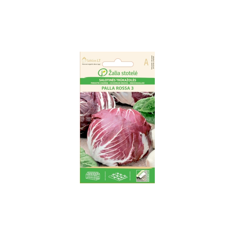 Italian Chicory Palla Rossa 3 - Seeds