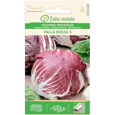 Italian Chicory Palla Rossa 3 - Seeds
