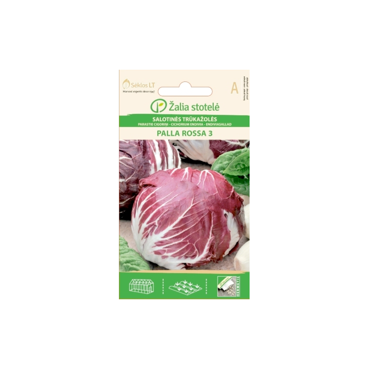 Italian Chicory Palla Rossa 3 - Seeds