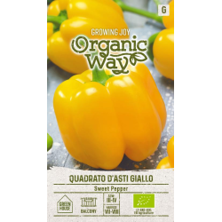 Sweet Pepper Quadrato d'Asti Giallo - Seeds