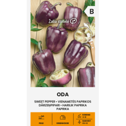 Sweet Pepper Oda - Seeds