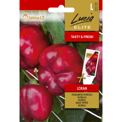 Sweet Pepper Loran - Seeds