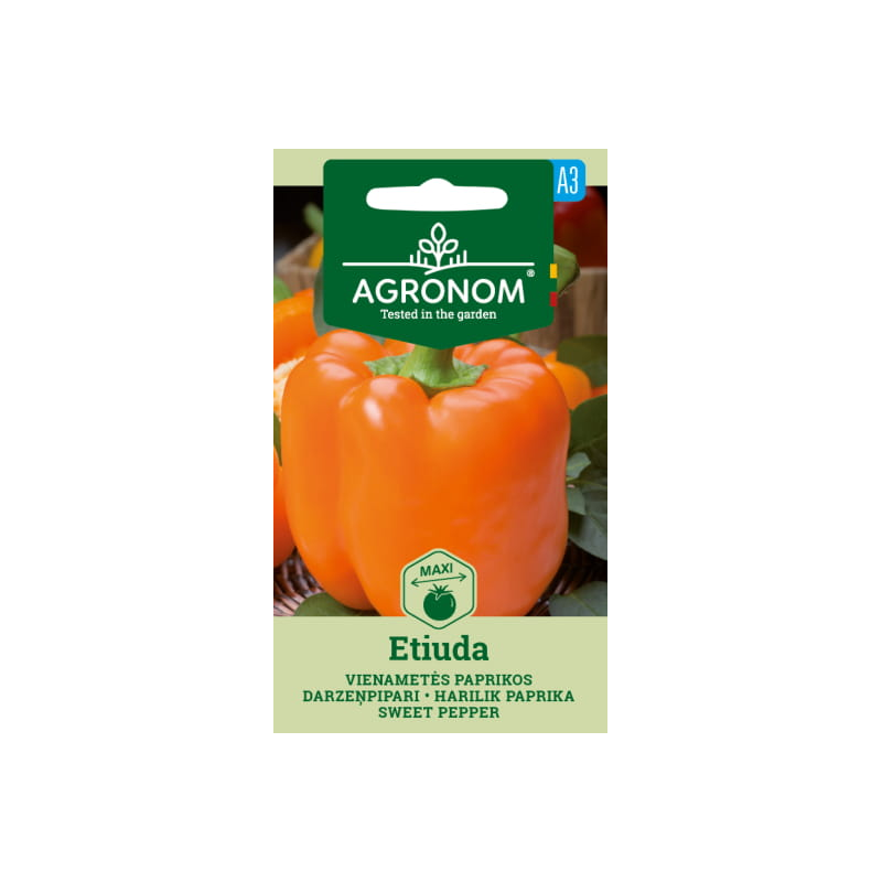 Sweet Pepper Etiuda - Seeds