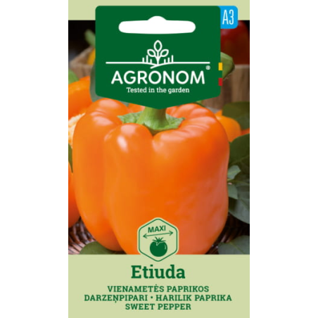 Sweet Pepper Etiuda - Seeds
