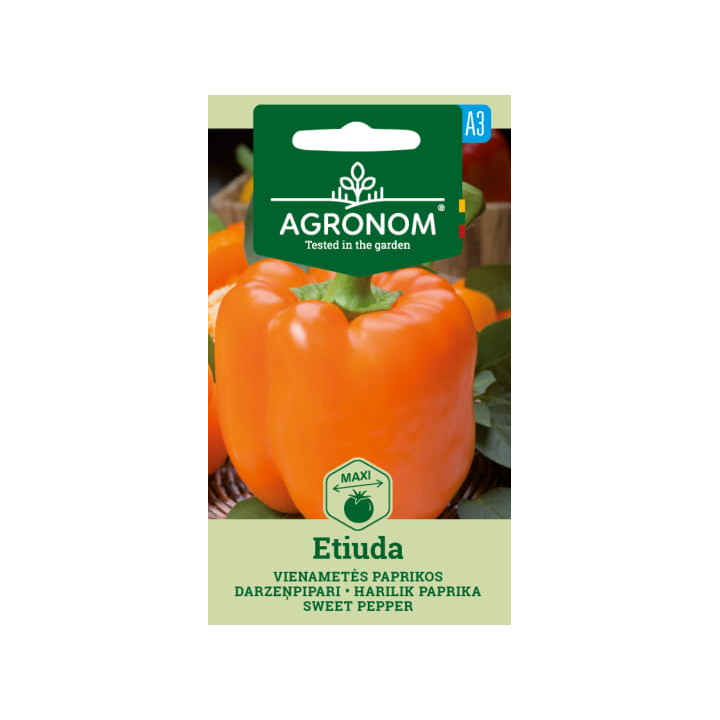 Sweet Pepper Etiuda - Seeds