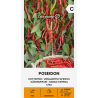Hot Pepper Poseidon - Seeds