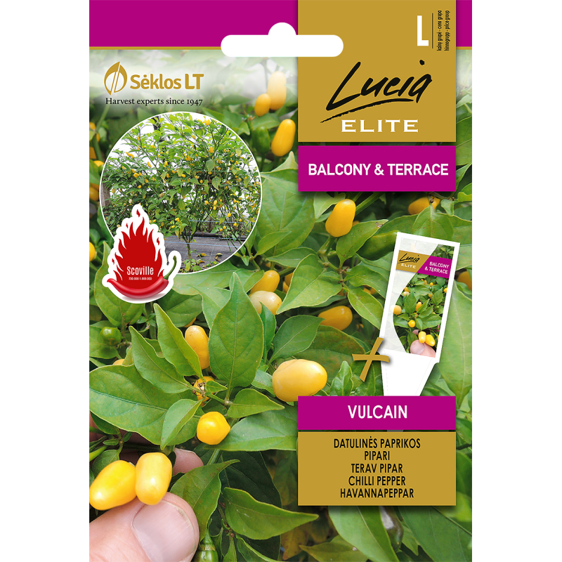 Hot Pepper Vulcain - Seeds